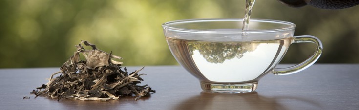 Las 10 funciones del té 